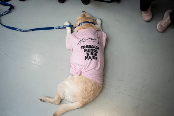 Camiseta rosa "Trabajar menos, vivir mejor" - Imagen 3